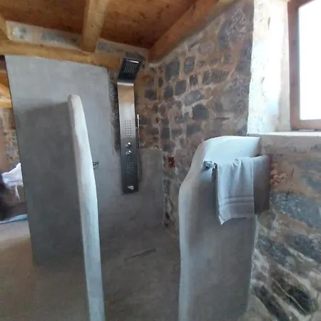 Monodendri