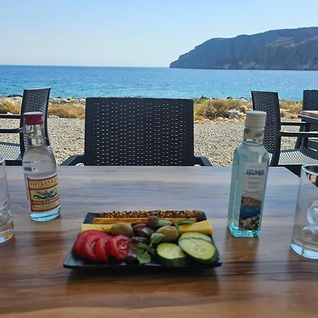 Monodendri
