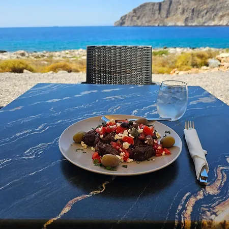 Monodendri 4*