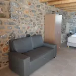 Monodendri 4*