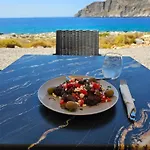Monodendri 4*