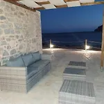 Monodendri 4*